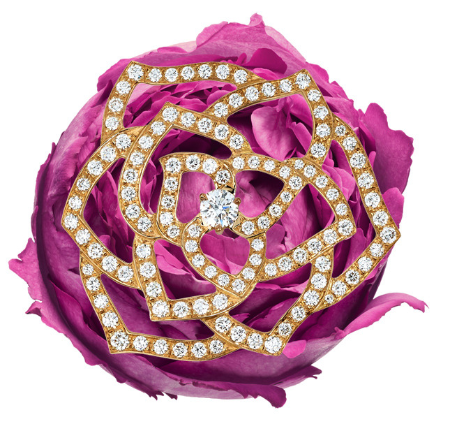 �� ��� ����