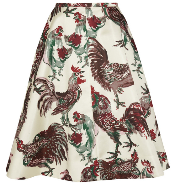 ���� ���: ���� Rochas