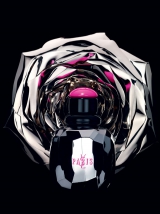 ����������� �������: Yves Saint Laurent Paris Rebel Collector