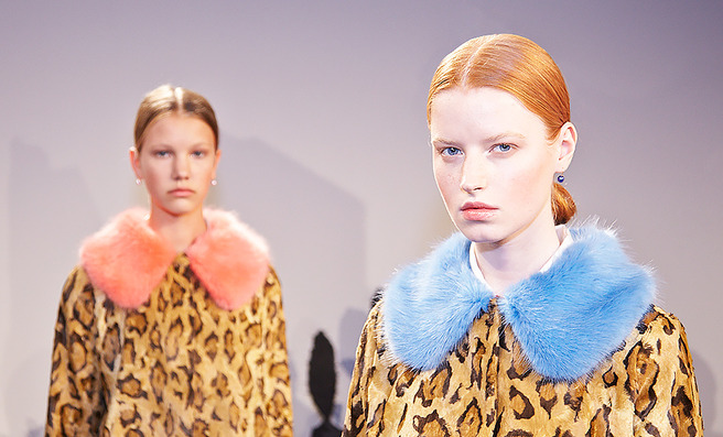 ��� ���������