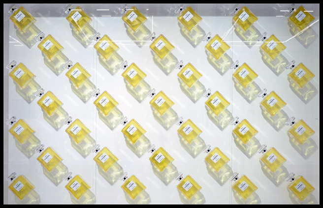 ������������ ���-������