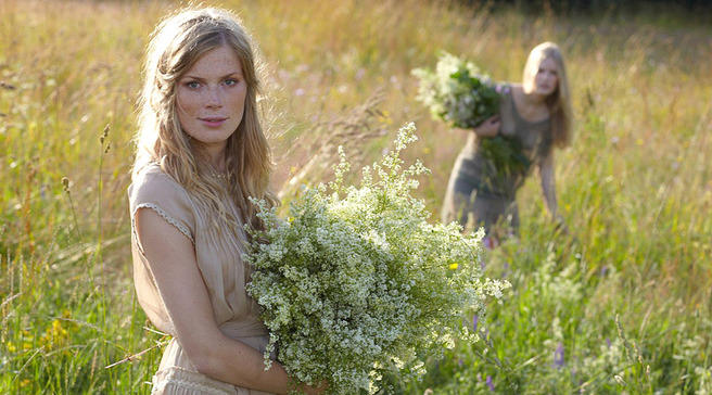 �������� �����