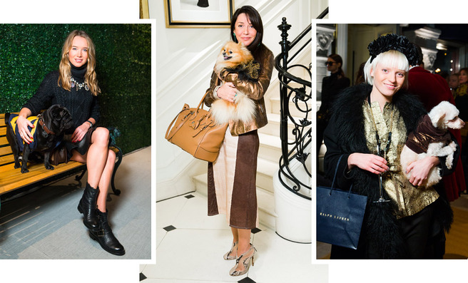 ����� ��������� Ralph Lauren    �The Dog Walk�