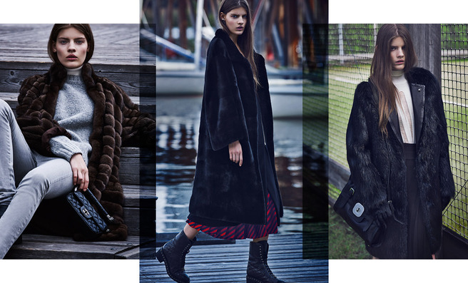 ������ ������