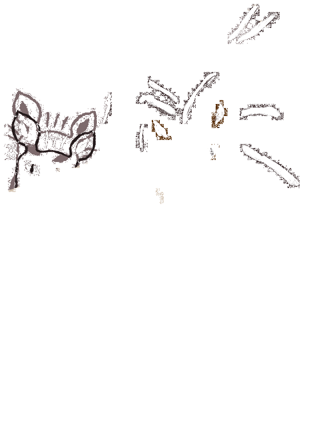 ������� �����