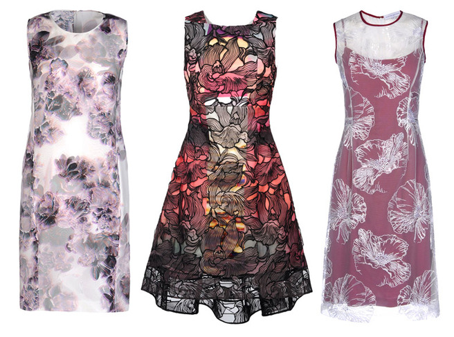 �������� ����