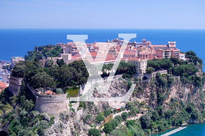 �� �������� ������